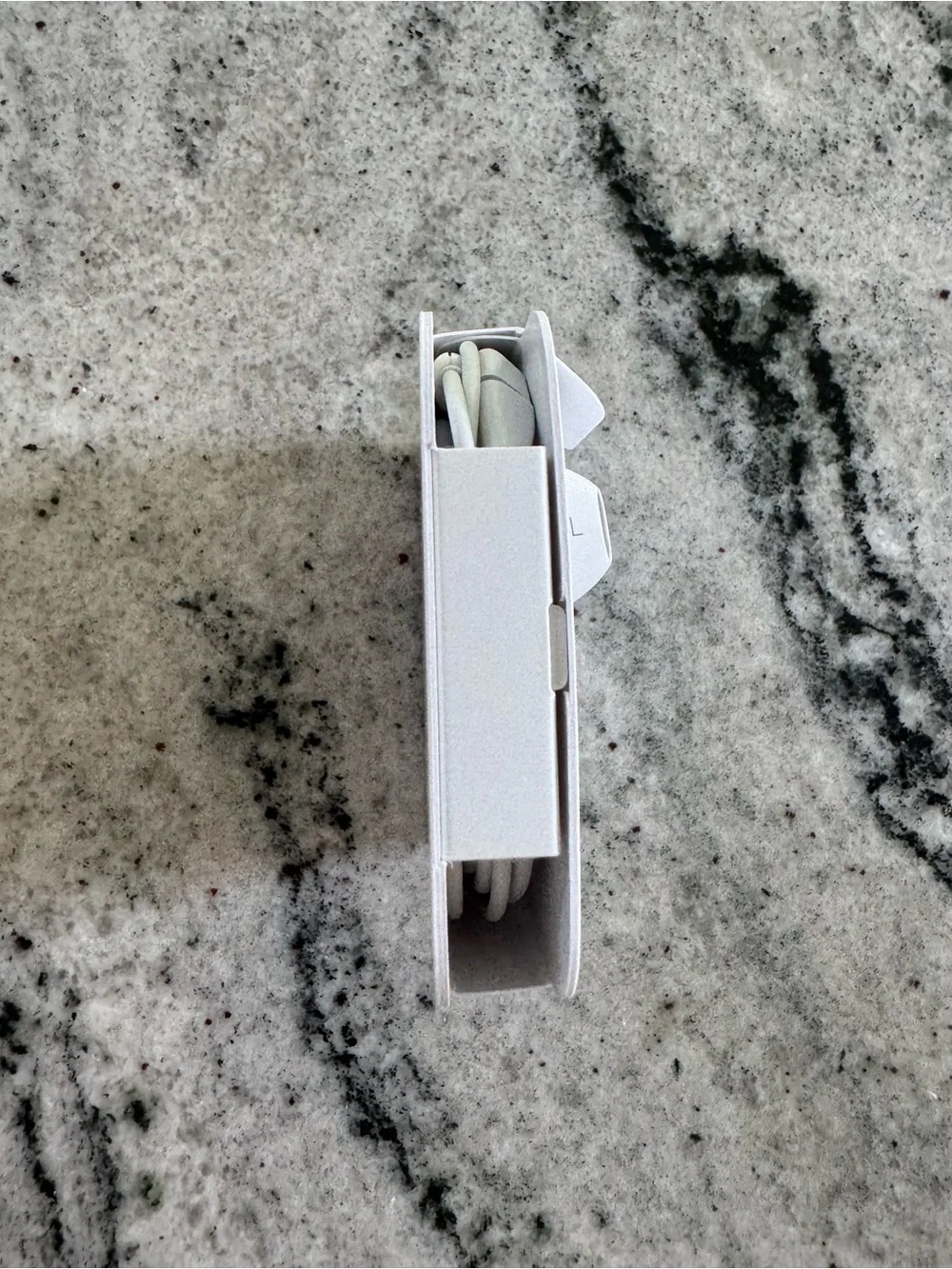 Apple Wired Earphones with lightening connector